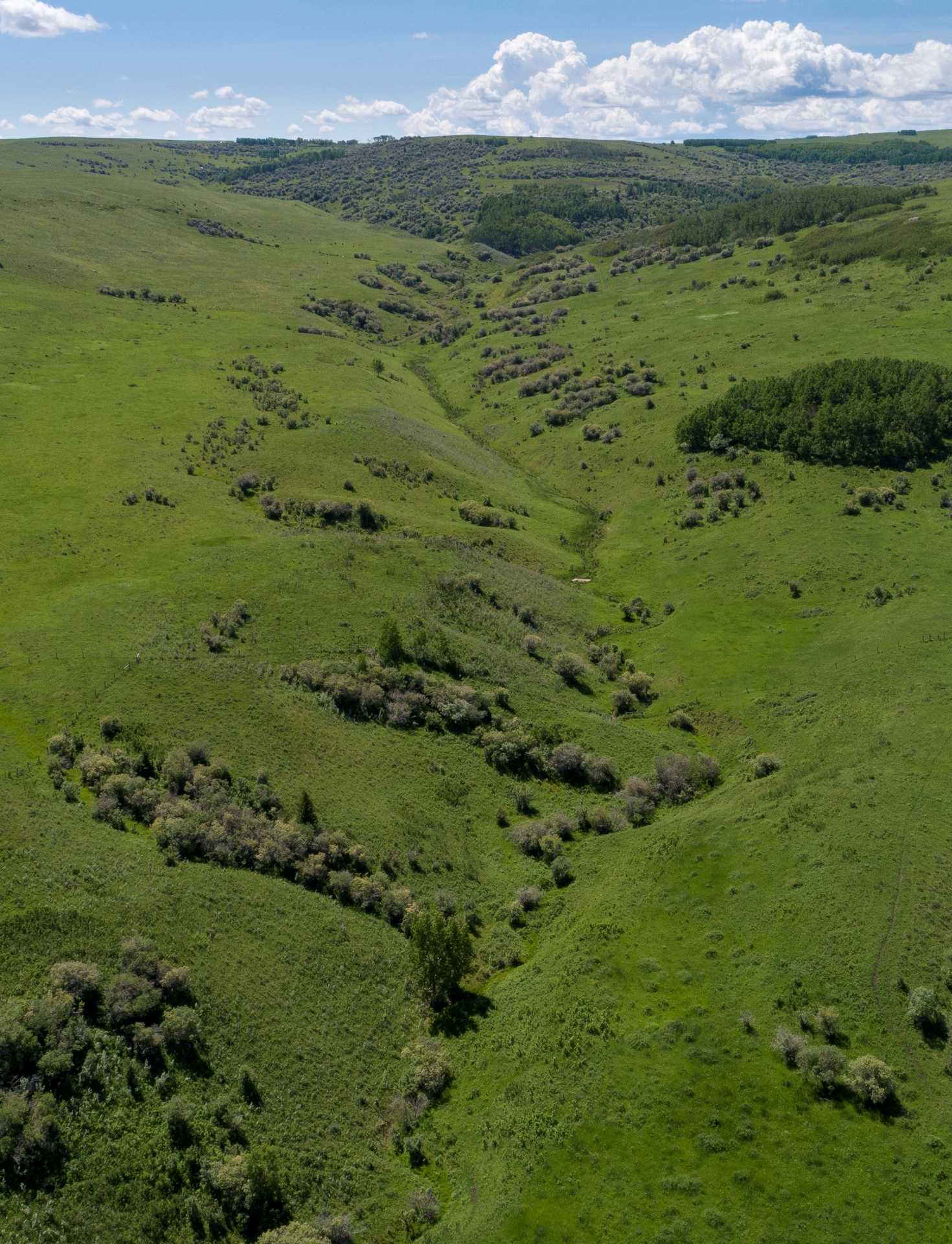 M D Of Willow Creek Homes And Real Estate Nanton Real Estate